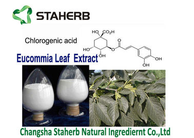 Eucommia Ulmoides Leaf Pure Natural Plant Extracts Chlorogenic Acid CAS 327 97 9 supplier