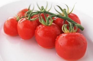 Dark Red Powder Natural Tomato Extract 5%-98% Lycopene Water Soluble Anti - Aging supplier