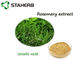 Antioxdent Rosemary Leaf Extract Ursolic Acid Powder For Cusmetic Product supplier