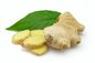Ginger extract  5%, 10%, 20%, 50% Gingerol by SCFE CO2 Raw materials for gastrointestinal supplier
