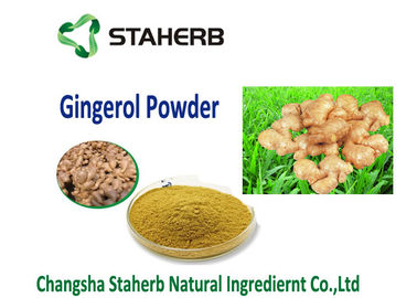 organic ginger extract Vegetable Extract Powder Food addtive water soluble dry ginger powder supplier
