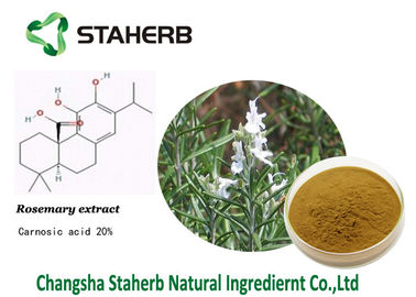 Carnosic acid,Rosemary extract,Anti-inflammation,Pure natural plant extracts supplier