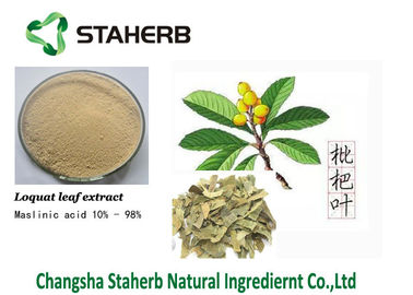 Maslinic acid Loquat leaf extract Pure Natural Plant Extracts 4373-41-5 supplier