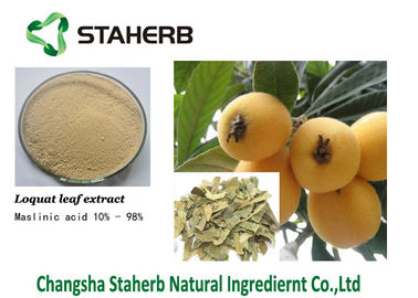 Maslinic acid Loquat leaf extract Pure Natural Plant Extracts 4373-41-5 supplier