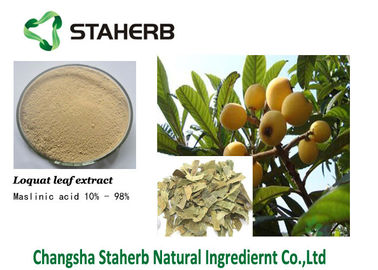 Maslinic acid Loquat leaf extract Pure Natural Plant Extracts 4373-41-5 supplier