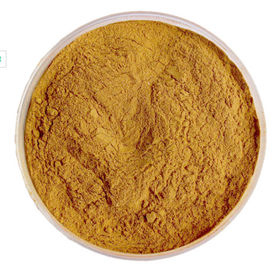 Pure Natural Plant Extracts Milk Thistle Extract Silymarin Powder For Liver-Protect supplier