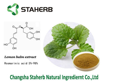 Lemon balm extract Rosmarinic acid herbal extract powder cas 1180-71-8 supplier