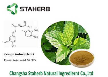 Lemon balm extract Rosmarinic acid herbal extract powder cas 1180-71-8 supplier