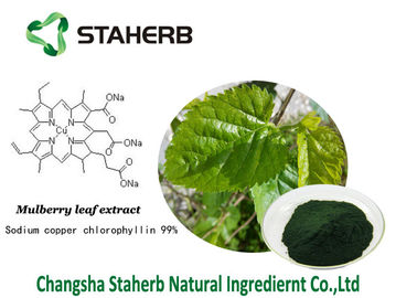 Chlorophyllin Antibacterial plant extracts Mulberry leaf extract sodium copper chlorophyllin supplier