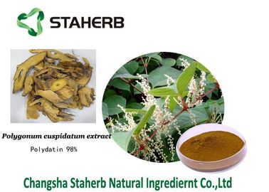 Polydatin pure herbal extracts Polygonum cuspidatum extract White crystalline fine powder supplier