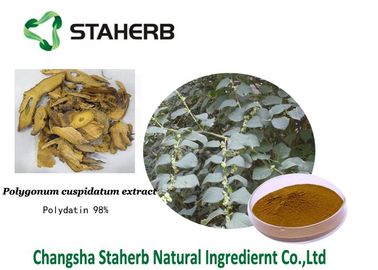 Polydatin pure herbal extracts Polygonum cuspidatum extract White crystalline fine powder supplier