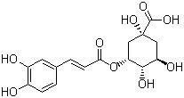 Herbal Antibacterial Plant Extracts Eucommia Ulmoides P.E Chlorogenic Acid Powder supplier