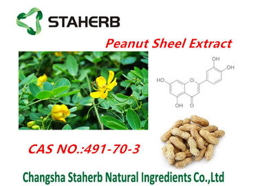 Pure Natural Plant Extracts Peanuts shell Luteolin extract powder supplier