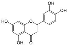 Pure Natural Plant Extracts Peanuts shell Luteolin extract powder supplier