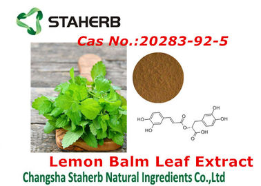 Lemon Balm leaf extract Pure Natural Plant Extracts Rosmarinic acid powder supplier