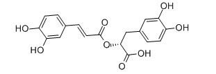 Lemon Balm leaf extract Pure Natural Plant Extracts Rosmarinic acid powder supplier
