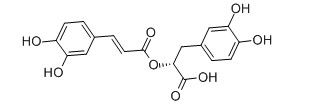 Lemon Balm leaf extract Pure Natural Plant Extracts Rosmarinic acid powder supplier