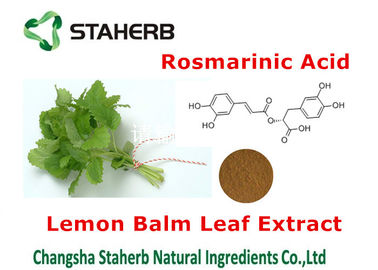 Lemon Balm leaf extract Pure Natural Plant Extracts Rosmarinic acid powder supplier