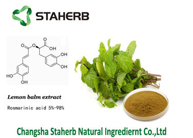 20283-92-5 Lemon Balm Extract , Rosmarinic Acid Antioxidant Kosher QS supplier