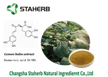 20283-92-5 Lemon Balm Extract , Rosmarinic Acid Antioxidant Kosher QS supplier