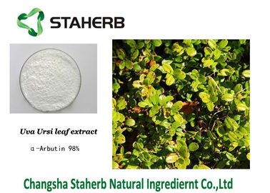 Alpha Arbutin Natural Cosmetic Skin Care Ingredients Bearberry Extract supplier