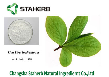 Alpha Arbutin Natural Cosmetic Skin Care Ingredients Bearberry Extract supplier