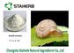 Protein 60% Snail Extract Natural Cosmetic Raw Materials White Powder supplier