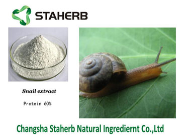 Protein 60% Snail Extract Natural Cosmetic Raw Materials White Powder supplier