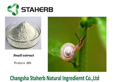 Protein 60% Snail Extract Natural Cosmetic Raw Materials White Powder supplier