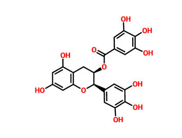 Organic Green Tea Extract EGCG 70-98% , Antioxidant powder Supplement Catechins supplier