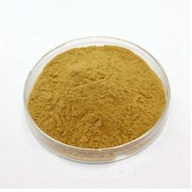 Honeysuchle flowers chlorogenic acid powder Cas no.327-97-9 brown supplier