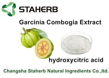 Weight Losing Garcinia Cambogia Extract Hydroxycitric acid HCA For Healthy Care supplier