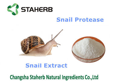 Snail Extract Natural Cosmetics Raw Materials , Organic Cosmetic Ingredients supplier