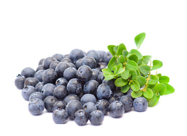 Bilberry Extract Antioxidant Food Supplements Dark Purple Fine Powder supplier