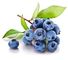 Blueberry Extract Antioxidant Dietary Supplement Enhance Immune System Ability supplier