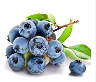 Blueberry Extract Antioxidant Dietary Supplement Enhance Immune System Ability supplier