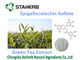 Organic / Powerful Antioxidants Supplements Epigallocatechin Gallate 50-98% supplier