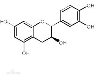 Green Tea Extract Antioxidant Dietary Supplement Catechin 50-98% Powder supplier