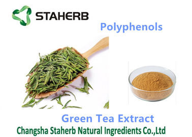 Yellow Brown Powder Antioxidant Powder Supplement Polyphenols 98% Cas 84650-60-2 supplier