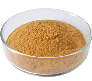 Yellow Brown Powder Antioxidant Powder Supplement Polyphenols 98% Cas 84650-60-2 supplier