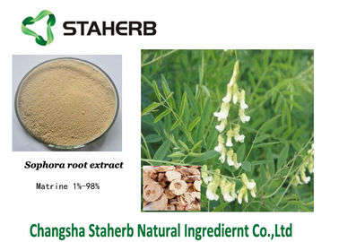 Agriculture Field Sophora Flavescens Extract Matrine 98% White Powder supplier