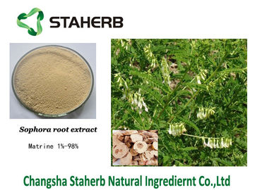 Agriculture Field Sophora Flavescens Extract Matrine 98% White Powder supplier