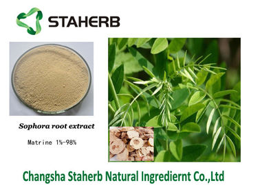 Agriculture Field Sophora Flavescens Extract Matrine 98% White Powder supplier