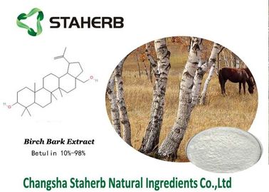 Birch Bark Extract Organic Makeup Ingredients , Natural Beauty Ingredients supplier