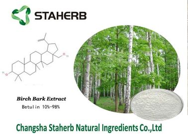 Birch Bark Extract Organic Makeup Ingredients , Natural Beauty Ingredients supplier