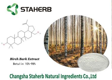 Birch Bark Extract Organic Makeup Ingredients , Natural Beauty Ingredients supplier