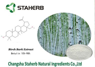 Birch Bark Extract Organic Makeup Ingredients , Natural Beauty Ingredients supplier