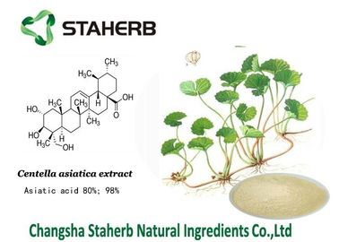 Gotu Kola Concentrated Plant Extract , Natural Plant Extracts For Skin Care supplier