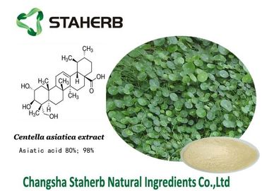 Gotu Kola Concentrated Plant Extract , Natural Plant Extracts For Skin Care supplier