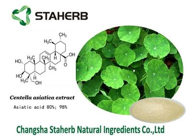 Gotu Kola Concentrated Plant Extract , Natural Plant Extracts For Skin Care supplier